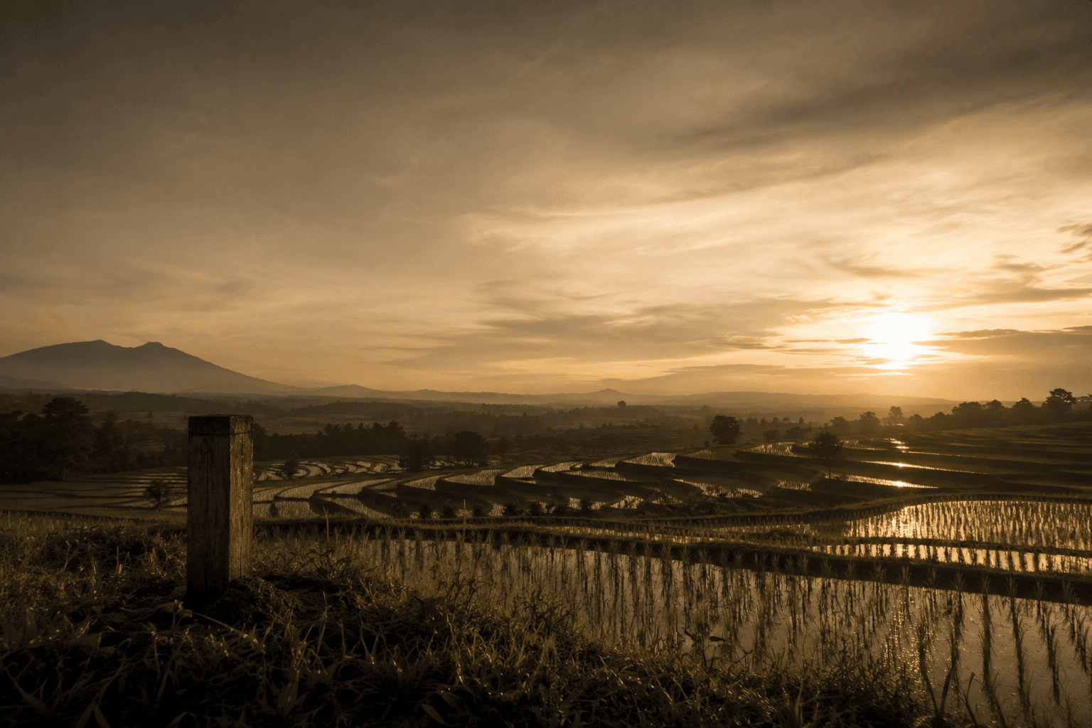 Hak Kepemilikan Properti dan Kepemilikan Tanah